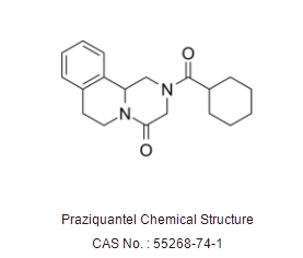 Praziquantel (Biltricide)