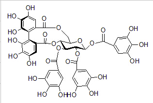 丁子芽鞣素