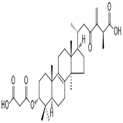 24(31)-Dehydrocarboxyacetylquercinic acid