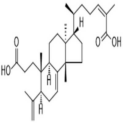 3,4-Secotirucalla-4(28),7,24-triene-3,26-dioic acid