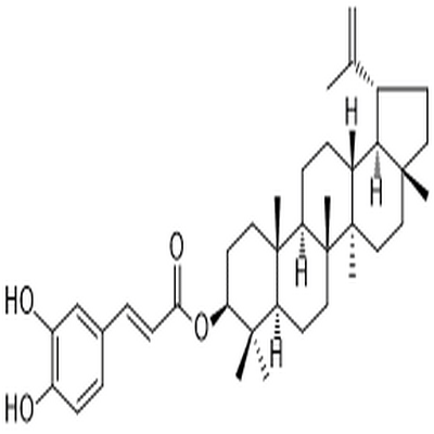 Lupeol caffeate