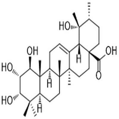 1β-Hydroxyeuscaphic acid