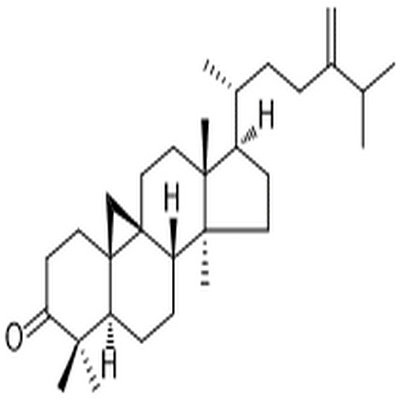 24-Methylenecycloartanone