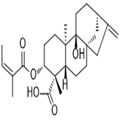 3α-Angeloyloxypterokaurene L3