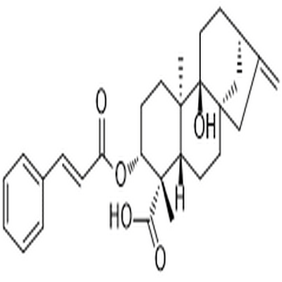 3α-Cinnamoyloxypterokaurene L3