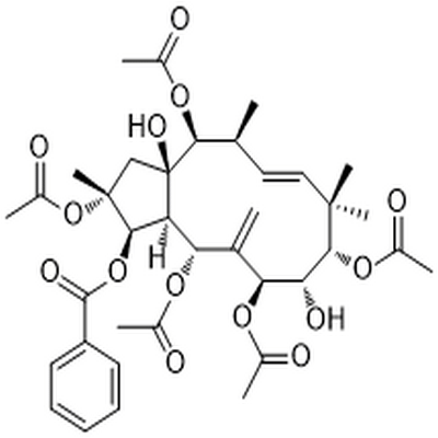Jatrophane 6