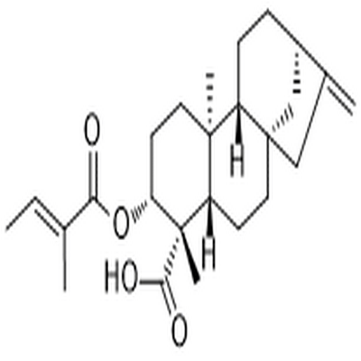 ent-3β-Tigloyloxykaur-16-en-19-oic acid