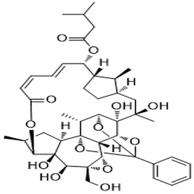 Trigothysoid N