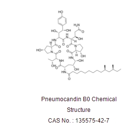 Pneumocandin B0