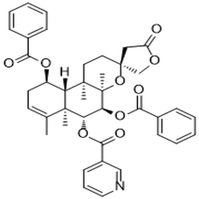 Scutebata G