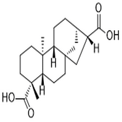 ent-kaurane-17,19-dioic acid