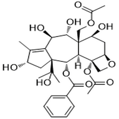 13-O-Deacetyltaxumairol Z