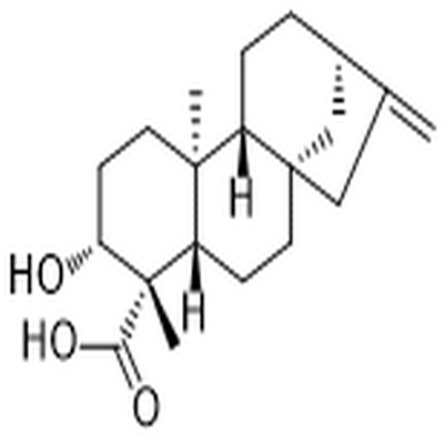 ent-3β-Hydroxykaur-16-en-19-oic acid