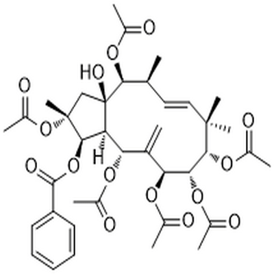 Jatrophane 2