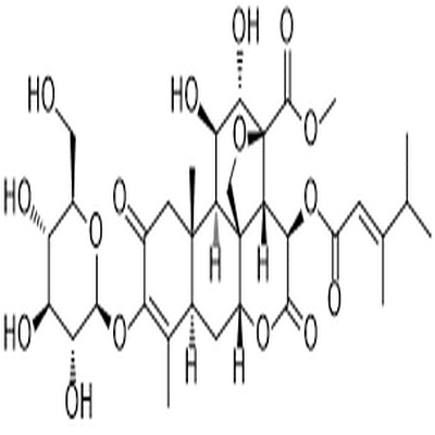 Yadanzioside P