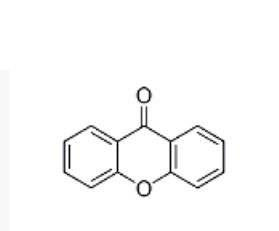 Xanthone (Genicide)