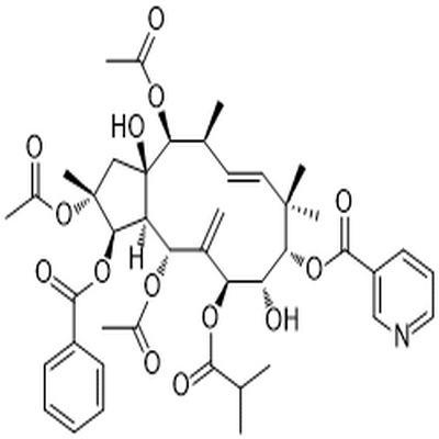 Jatrophane 3