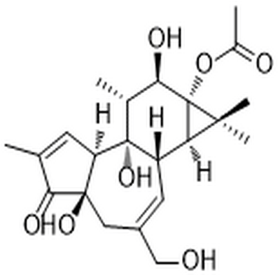 Phorbol 13-acetate