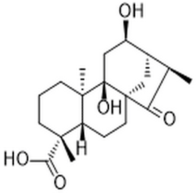 Pterisolic acid E