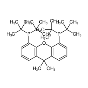 9,9-二甲基-4,5-双(二叔丁基膦)二苯并-Γ-吡喃