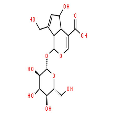 去乙酰车叶草苷酸