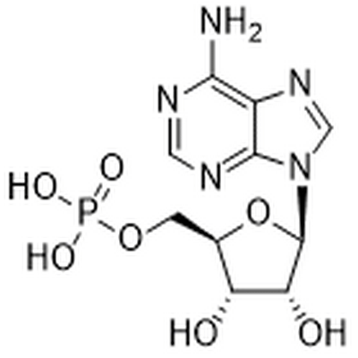 Adenosine 5'-monophosphate