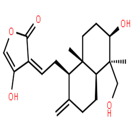 脱水穿心莲内酯