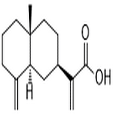 β-Costic acid