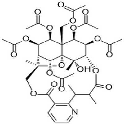 Euonymine