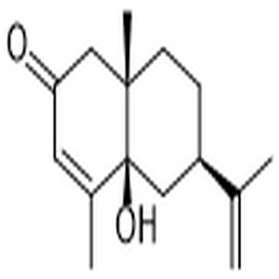 β-Rotunol