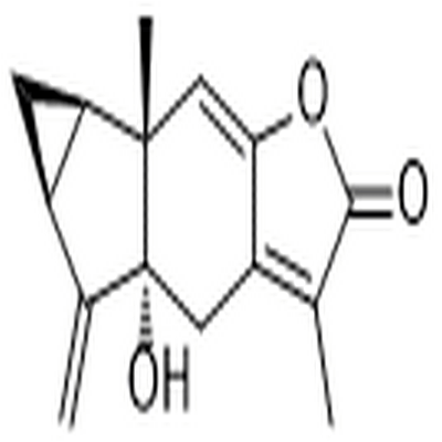 5α-Hydroxychloranthalactone A
