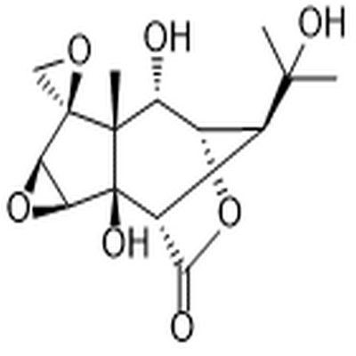 Isohyenanchin