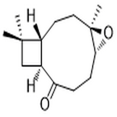 Kobusone