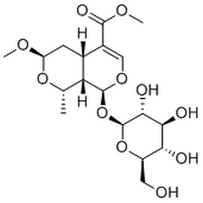 7β-O-Methylmorroniside