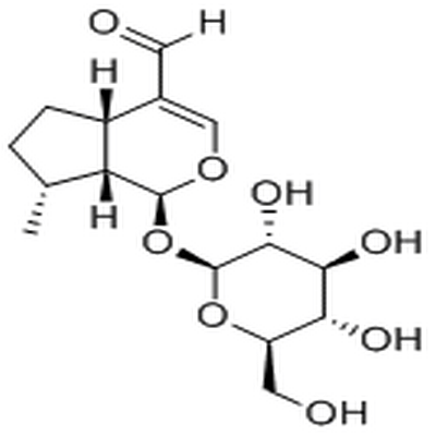 Boschnaloside