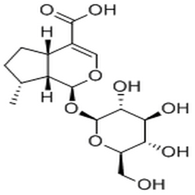 8-Epideoxyloganic acid