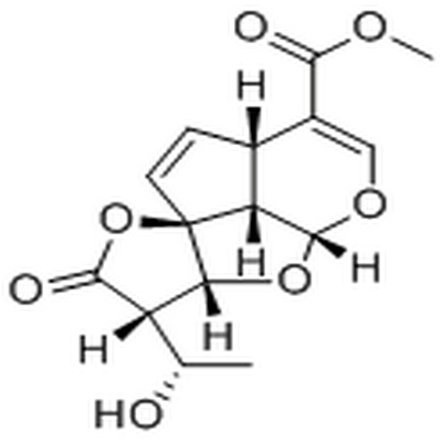 Allamandicin