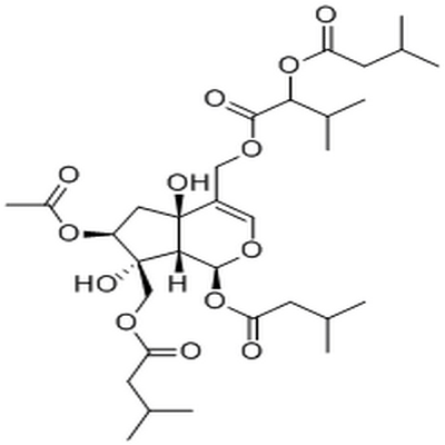 Jatamanvaltrate B