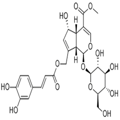 10-O-Caffeoyl-6-epiferetoside