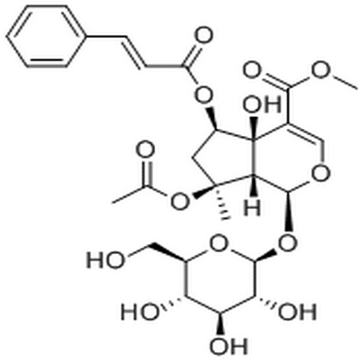 6-O-trans-Cinnamoylphlorigidoside B