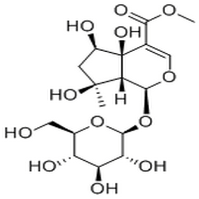 6β-Hydroxyipolamiide