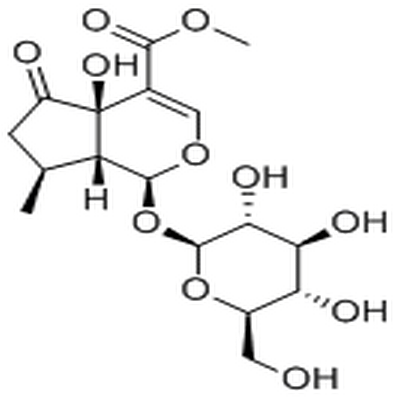 Hastatoside