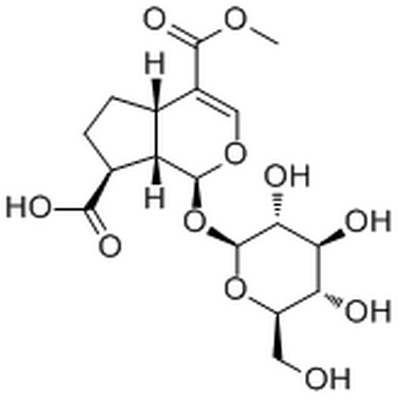 11-Methylforsythide