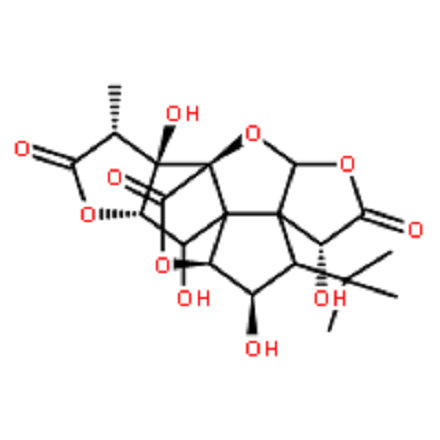 银杏内酯C