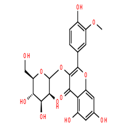 异鼠李素 3-O-半乳糖苷