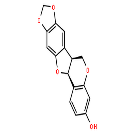 高丽槐素