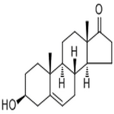 Dehydroepiandrosterone