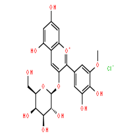 氯化矮牵牛素-3-O-半乳糖苷