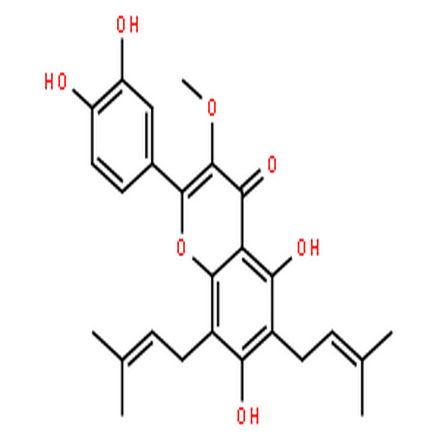 楮树黄酮醇B