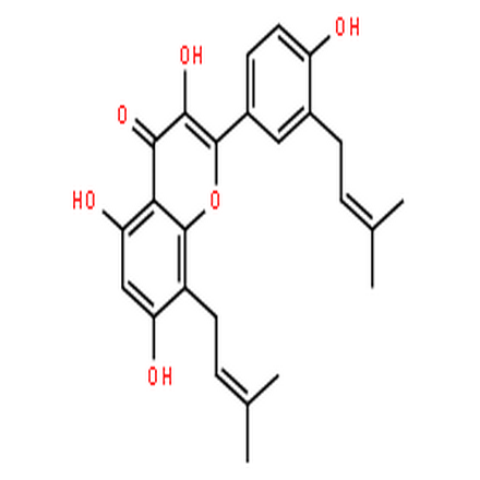 楮树黄酮醇F